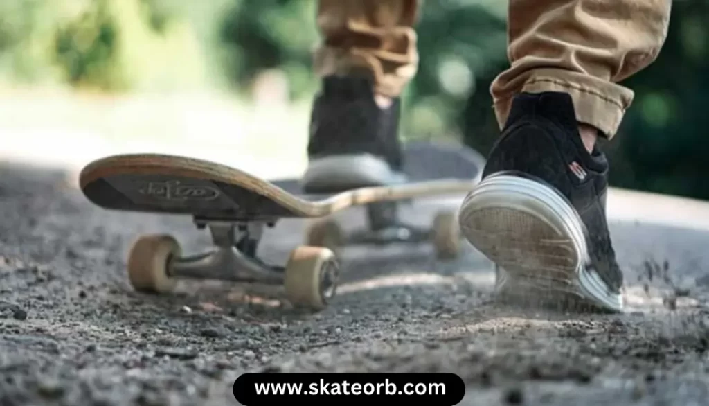 Bamboo Vs Maple Skateboard